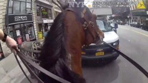 Mounted Police Officer Chase