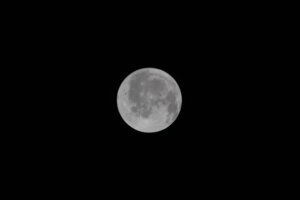 NASA Artemis Moonshot
