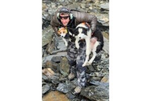 New Zealand Dog Rescue