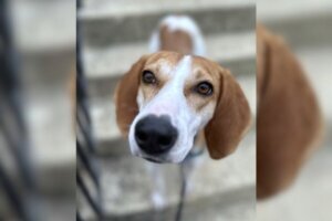 POTW Betty