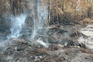 US Wildfires