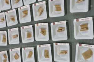 Biodegradable plastic wrap