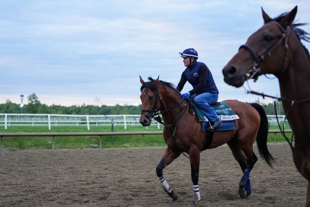 Black Eyed Susan Horse Racing