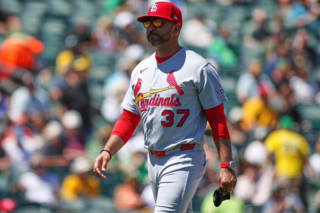 Cardinals Athletics Baseball