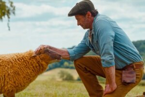 Film Review The Sheep Detectives