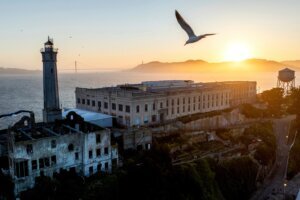 WCup Bay Area Things to Know