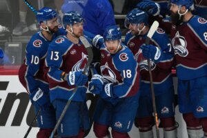 Wild Avalanche Hockey