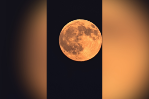Full strawberry moon