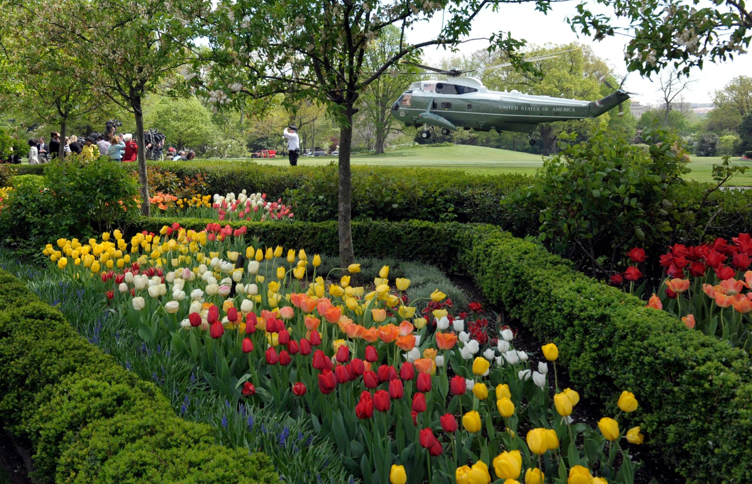Gardening White House Rose Garden
