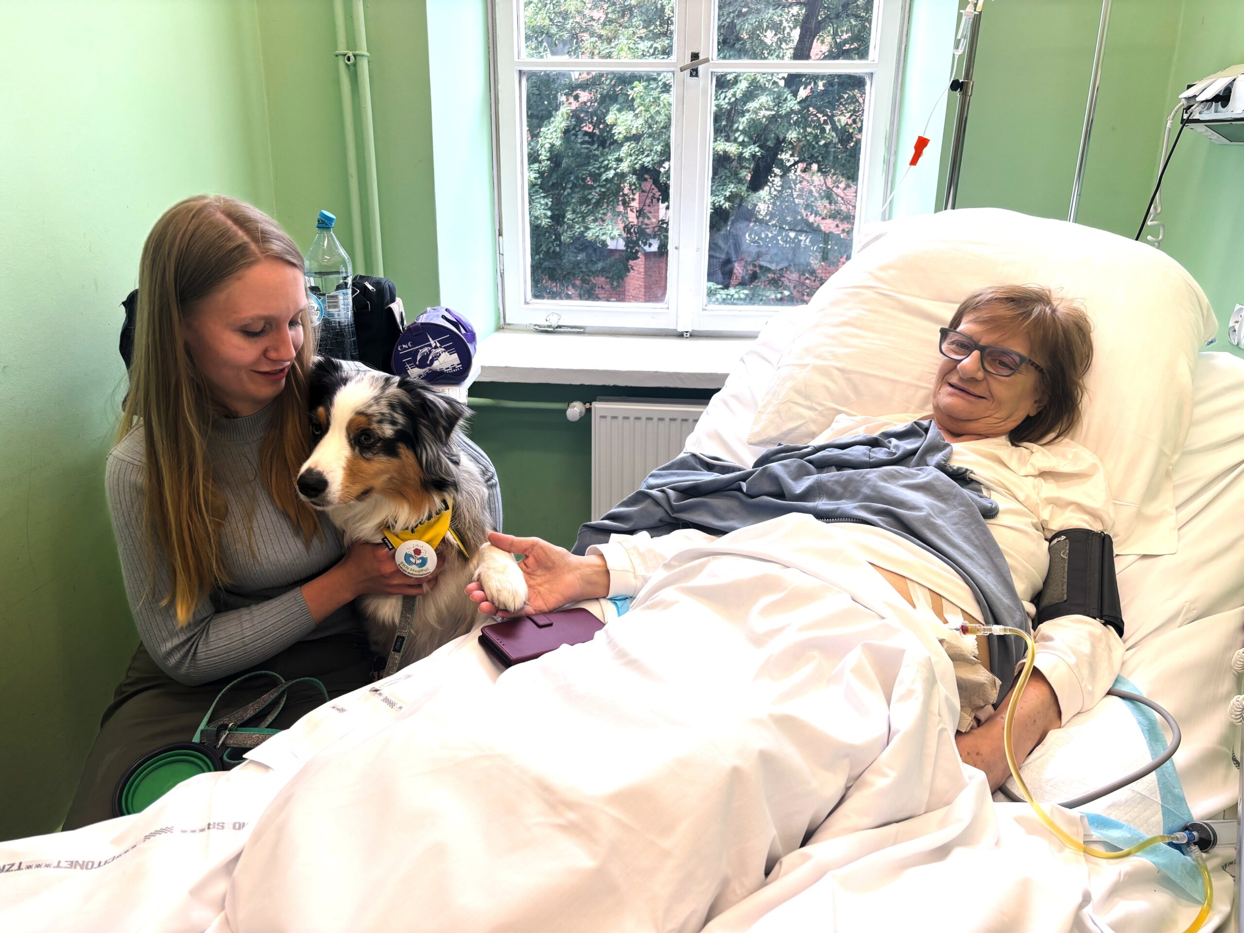 Poland Pets in Hospitals