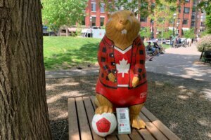 WCup Toronto Beaver Quest Soccer