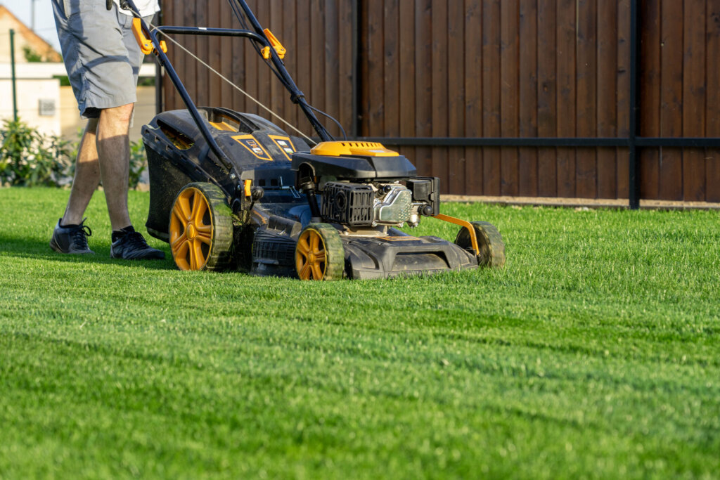 Green grass cutting with lawn mower in home garden