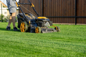 Worried about your lawn in the drought? ‘Do as little as possible’ Virginia Tech expert says