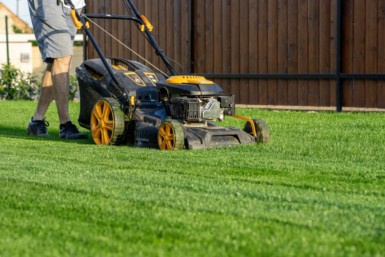 Green grass cutting with lawn mower in home garden