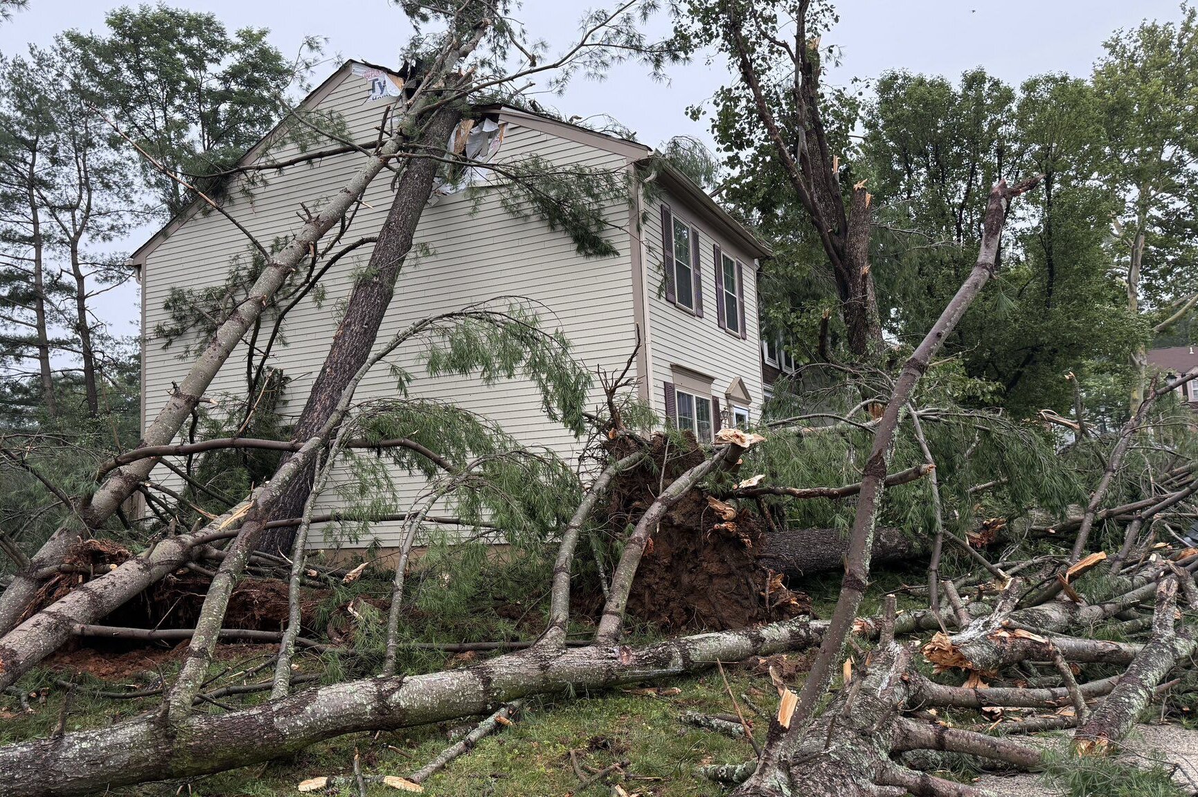 Downed trees into a house in Burke, Virginia