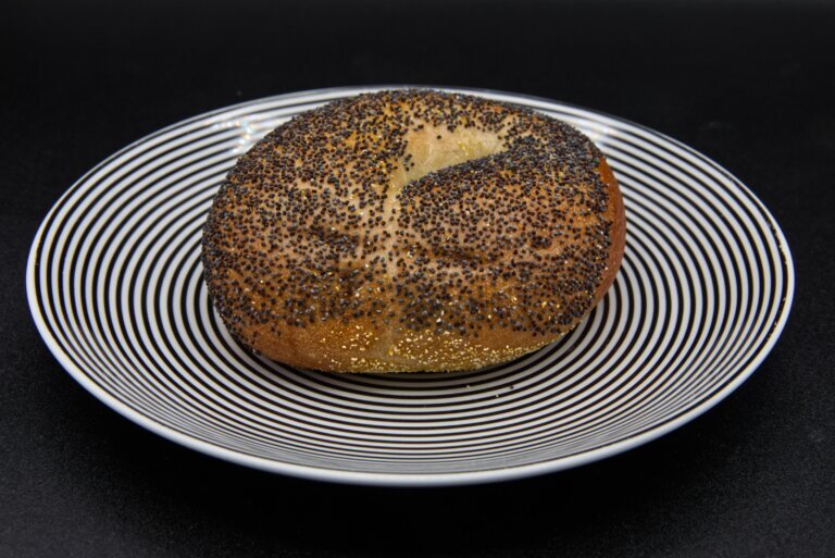 America 250 Objects The Bagel