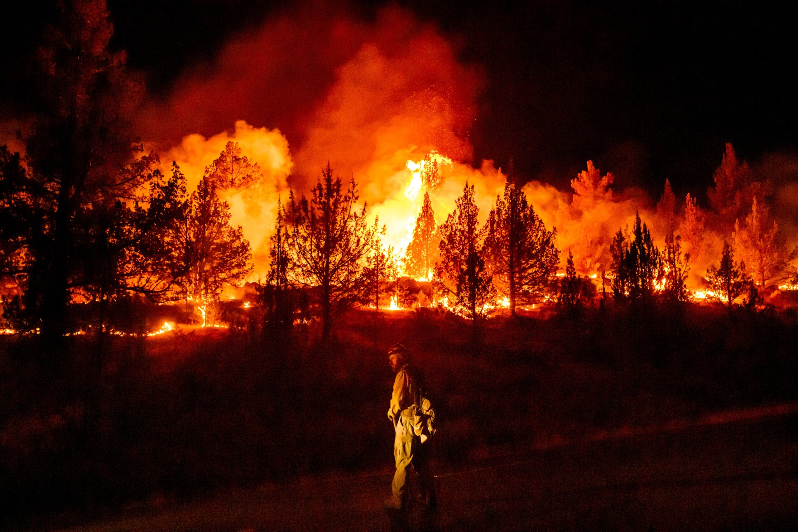 Climate Wildfires Global
