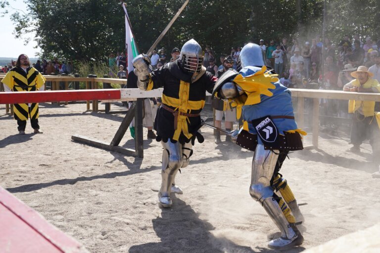 Denmark Medieval Combat