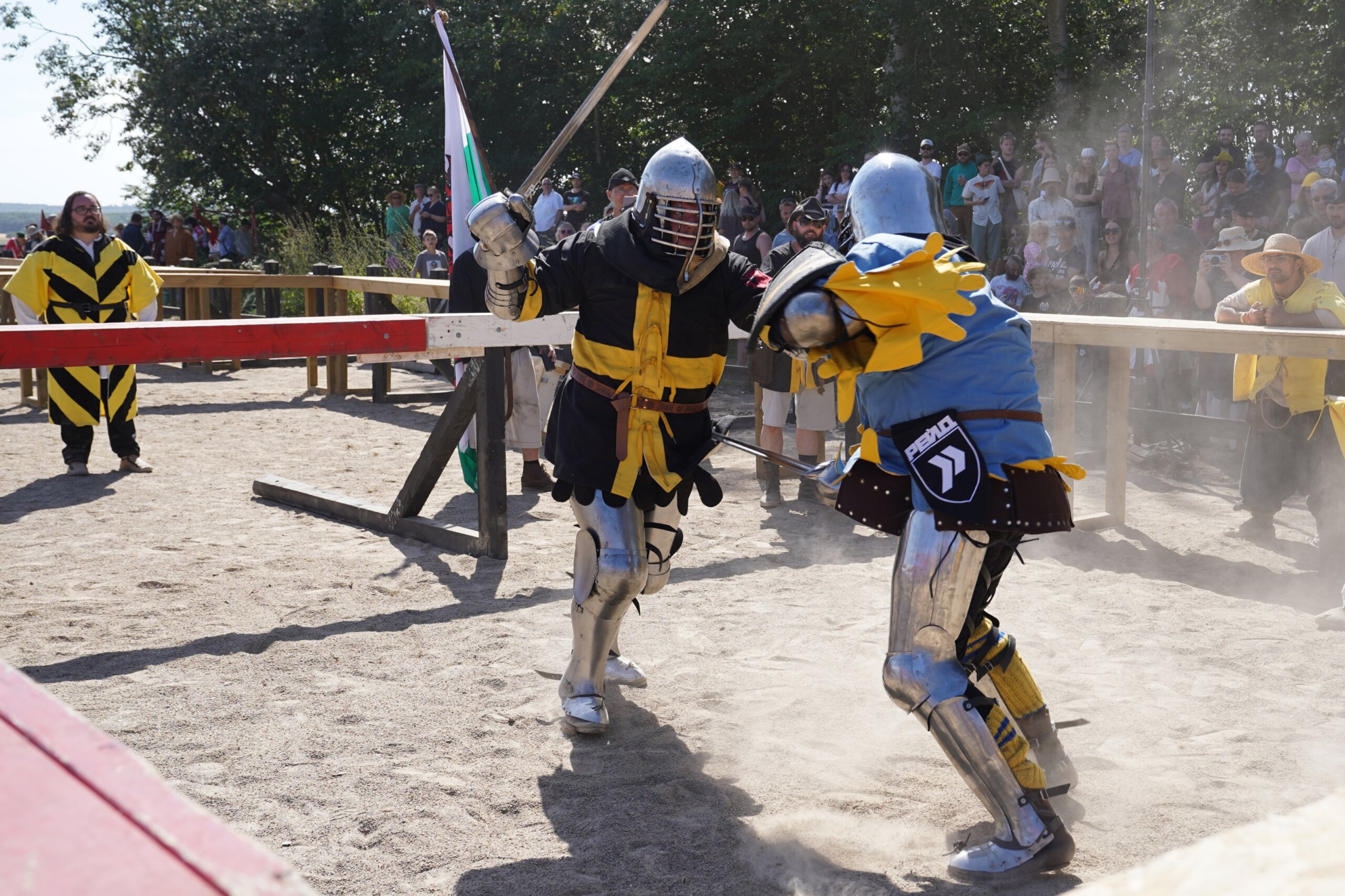 Denmark Medieval Combat