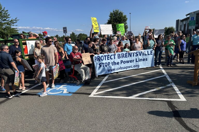 Prince William County residents rally against planned 6.5 mile transmission line