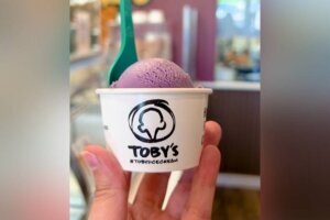 Toby's ube ice cream