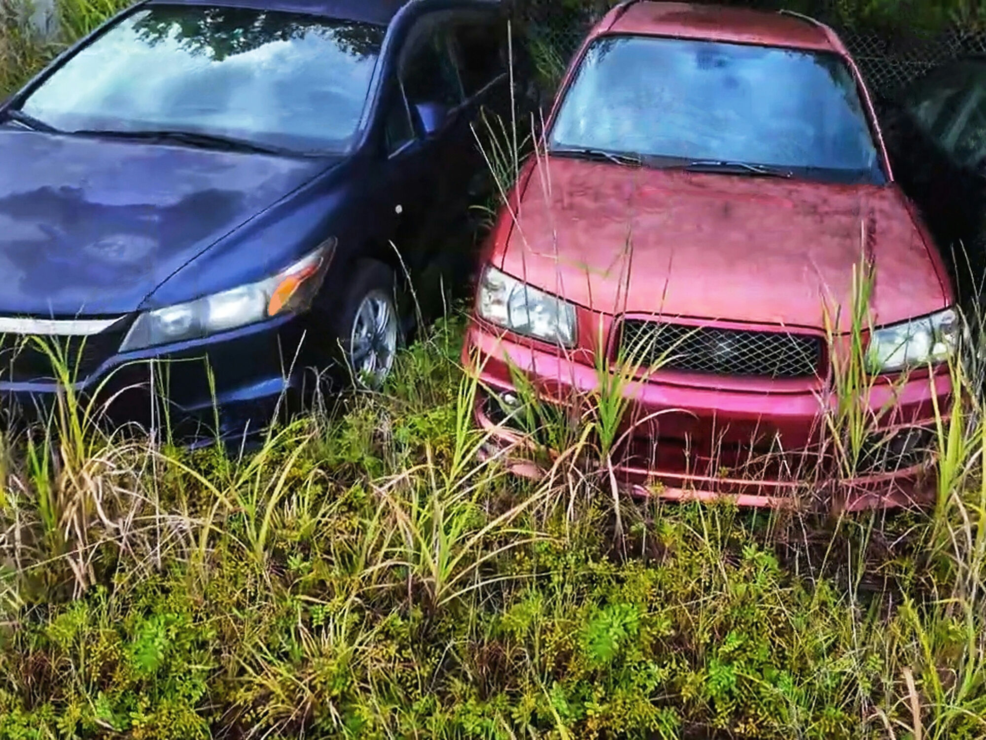 Abandoned vehicles left at impound lot because fines were more expensive than cars
