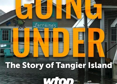 Episode 4 – Trump is Tops on Tangier