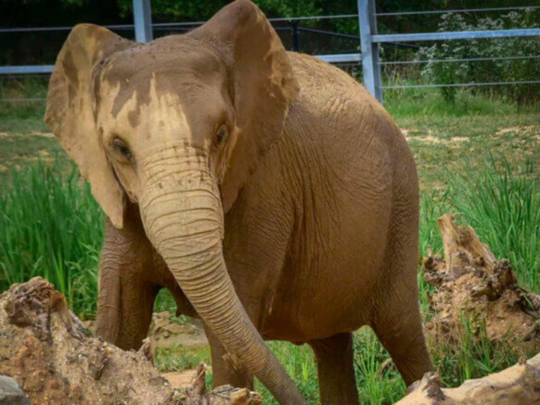 Maryland Zoo pic