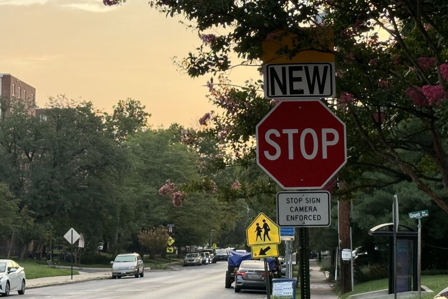 Takoma park stop sign camera