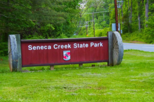 Seneca Creek State Park
