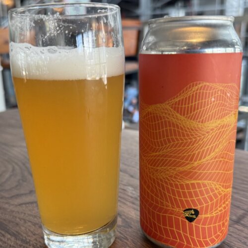 glass of beer next to beer can on table
