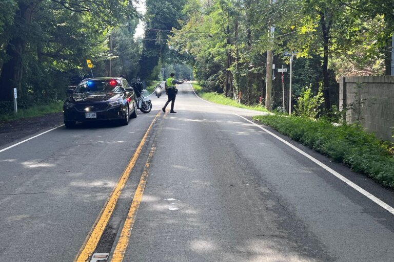 Mclean homicide