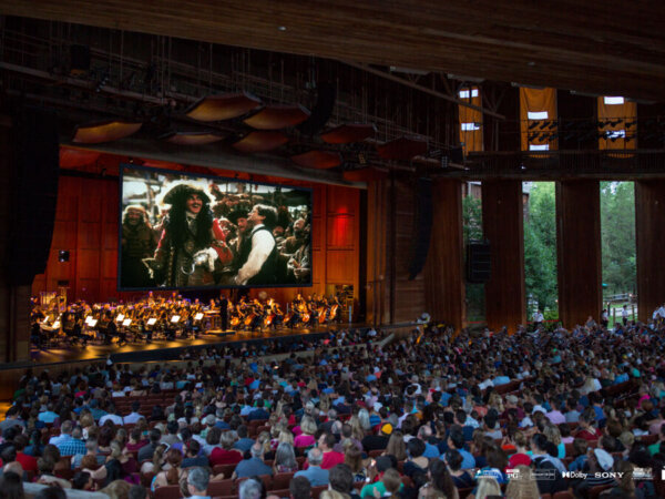 Nso hook in concert Artist Image 600x450