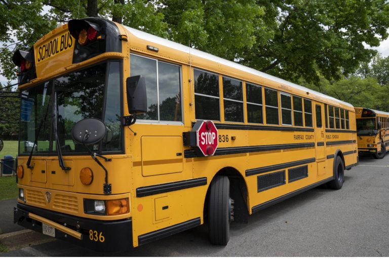 School bus new format